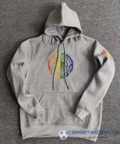 Sudaderas Con Capucha Alemania 2022 I Gris