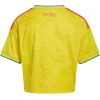 Camiseta 2026 Casa Amarilla - Camiseta Colombia Mujer 2026 | PTDHMALL