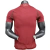 AS Roma Camiseta Edición Jugadores 2024 2025 Casa Roja - Camiseta Serie A AS Roma | PTDHMALL