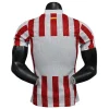 Atlético Madrid Camiseta Edición Jugadores 2025 2026 Casa Roja - Camiseta Atlético Madrid | PTDHMALL