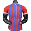 Crystal Palace Camiseta Edición Jugadores 2025 2026 Casa Azul - Camiseta Crystal Palace | PTDHMALL