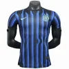 Inter Milán Camiseta Edición Jugadores 2025 2026 Casa Azul - Camiseta Serie A Inter Milán | PTDHMALL