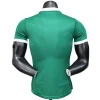 SE Palmeiras Camiseta Edición Jugadores 2025 2026 Casa Verde - Camiseta Kidsuper X Se Palmeiras Graphic Masculina | PTDHMALL
