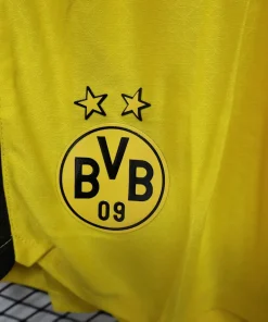 Borussia Dortmund Camiseta Edición Jugadores 2025 2026 Casa Amarilla - Camiseta Borussia Dortmund | PTDHMALL
