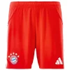 Bayern Múnich Camiseta 2025 2026 Casa Roja - Camiseta Bayern Múnich 2026 | PTDHMALL