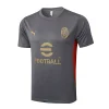 AC Milan Chándal 2024 2025 Gris - AC Milan Barata | PTDHMALL