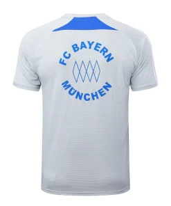 Bayern Múnich Chándal 2025 2026 Gris - Bayern Múnich Barata | PTDHMALL