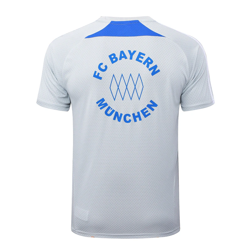 Bayern Múnich Chándal 2025 2026 Gris - Bayern Múnich Barata | PTDHMALL
