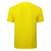 Borussia Dortmund Chándal 2024 2025 Amarillo - Borussia Dortmund Barata | PTDHMALL
