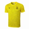 Borussia Dortmund Chándal 2024 2025 Amarillo - Borussia Dortmund Barata | PTDHMALL