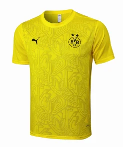 Borussia Dortmund Chándal 2024 2025 Amarillo - Borussia Dortmund Barata | PTDHMALL