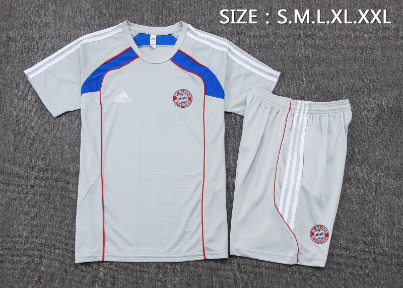 Bayern Múnich Conjunto 2025 2026 Gris - Bayern Múnich Barata | PTDHMALL
