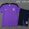 Corinthians Paulista Conjunto 2025 2026 Púrpura - Corinthians Paulista 2026 | PTDHMALL