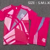 Flamengo Conjunto 2025 2026 Rosa - Flamengo Barata | PTDHMALL