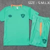 Fluminense Conjunto 2025 2026 Verde - Fluminense Barata | PTDHMALL