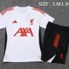 Liverpool Conjunto 2025 2026 Blanco - Liverpool Barata | PTDHMALL