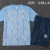 Manchester City Conjunto 2024 2025 Azul - Manchester City Barata | PTDHMALL