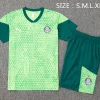Conjunto 2025 2026 Verde | PTDHMALL