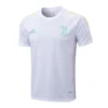 Juventus Chándal 2025 2026 Blanco - Equipación Juventus | PTDHMALL