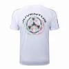 Juventus Chándal 2025 2026 Blanco - Equipación Juventus | PTDHMALL