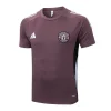 Manchester United Chándal 2025 2026 Púrpura - Manchester United Barata | PTDHMALL