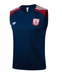 Arsenal Chándal 2025 2026 Azul - Arsenal Barata | PTDHMALL