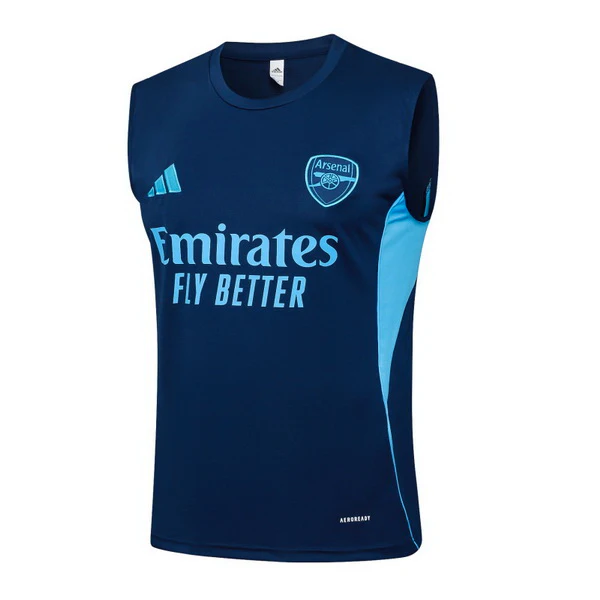 Arsenal Chándal 2025 2026 Azul - Arsenal Barata | PTDHMALL