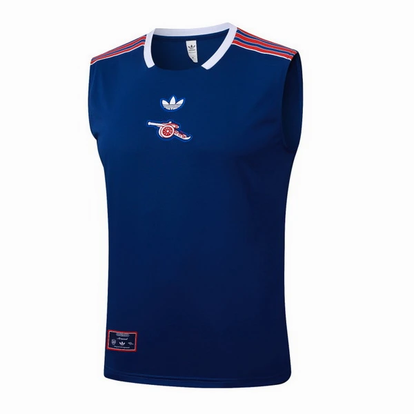 Arsenal Chándal 2025 2026 Azul - Arsenal Barata | PTDHMALL