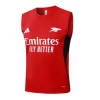 Arsenal Chándal 2025 2026 Rojo - Arsenal Barata | PTDHMALL