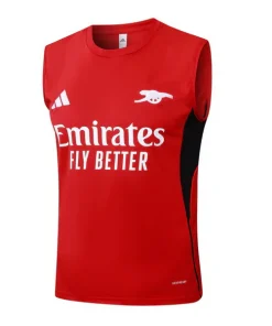 Arsenal Chándal 2025 2026 Rojo - Arsenal Barata | PTDHMALL