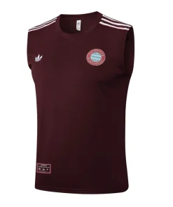 Bayern Múnich Chándal 2025 2026 - Bayern Múnich Barata | PTDHMALL