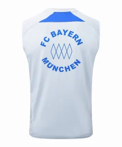 Bayern Múnich Chándal 2025 2026 Gris - Bayern Múnich Barata | PTDHMALL