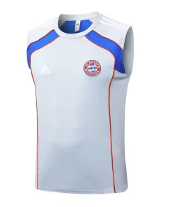 Bayern Múnich Chándal 2025 2026 Gris - Bayern Múnich Barata | PTDHMALL