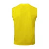 Borussia Dortmund Chándal 2024 2025 Amarillo - Borussia Dortmund Barata | PTDHMALL