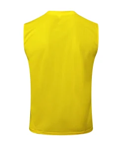 Borussia Dortmund Chándal 2024 2025 Amarillo - Borussia Dortmund Barata | PTDHMALL