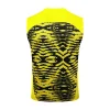 Borussia Dortmund Chándal 2024 2025 Amarillo - Borussia Dortmund Barata | PTDHMALL