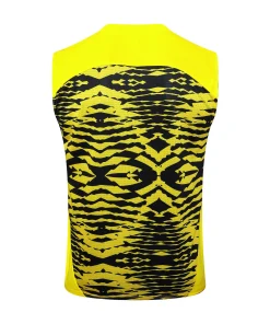 Borussia Dortmund Chándal 2024 2025 Amarillo - Borussia Dortmund Barata | PTDHMALL