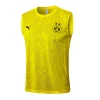 Borussia Dortmund Chándal 2024 2025 Amarillo - Borussia Dortmund Barata | PTDHMALL