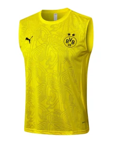 Borussia Dortmund Chándal 2024 2025 Amarillo - Borussia Dortmund Barata | PTDHMALL