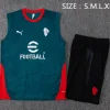 AC Milan Conjunto 2025 2026 Verde - AC Milan Barata | PTDHMALL