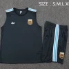Argentina Conjunto 2026 Gris - Argentina Barata | PTDHMALL