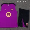 FC Barcelona Conjunto 2025 2026 Púrpura - FC Barcelona Barata | PTDHMALL