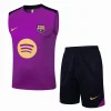 FC Barcelona Conjunto 2025 2026 Púrpura - FC Barcelona Barata | PTDHMALL
