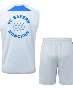 Bayern Múnich Conjunto 2025 2026 Gris - Bayern Múnich Barata | PTDHMALL