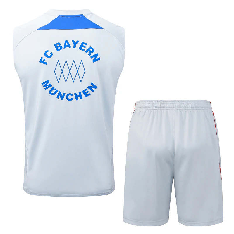 Bayern Múnich Conjunto 2025 2026 Gris - Bayern Múnich Barata | PTDHMALL