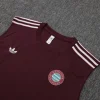 Bayern Múnich Conjunto 2025 2026 - Bayern Múnich Barata | PTDHMALL