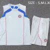 Bayern Múnich Conjunto 2025 2026 Gris - Bayern Múnich Barata | PTDHMALL