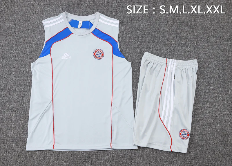 Bayern Múnich Conjunto 2025 2026 Gris - Bayern Múnich Barata | PTDHMALL