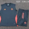 Bayern Múnich Conjunto 2025 2026 Gris - Bayern Múnich Barata | PTDHMALL