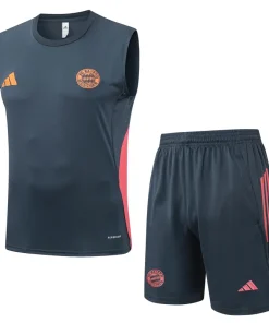Bayern Múnich Conjunto 2025 2026 Gris - Bayern Múnich Barata | PTDHMALL